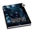 GIPN, les Groupes d’Intervention de la Police Nationale
